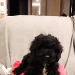 Isabelle Laurens - Facebook Profile Picture of Isabelle Laurens (@isabelle.laurens.16) on Facebook