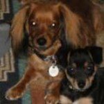 Profile Picture of Jo Anne Tausch (@joront29) on Instagram