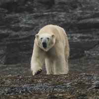 Profile Picture of Keith Beswick (@keith-beswick-3) on Quora