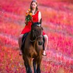 Tina Grimmie - Instagram Profile Picture of Tina Grimmie (@tina_grimmie_liberty) on Instagram