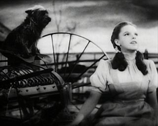 Profile Picture of Judy Garland as a gay iconon Wikipedia