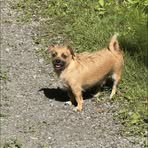 Profile Picture of Laura Bertrand (@laura.bertrand.2025) on Facebook