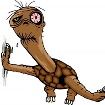 Profile Picture of Jacki Roberts (@PomKid) on Twitter