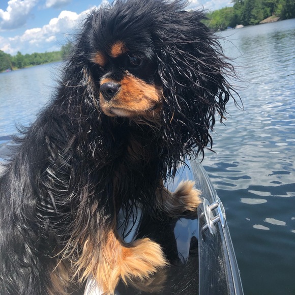 Profile Picture of Trish Hotrum (@thotrum) on Poshmark