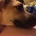 Profile Picture of Ginger Teeter (@ginger.teeter.58) on Facebook