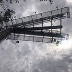 Profile Picture of Michael Mgrdichian (@michaelmgrdichian) on Instagram