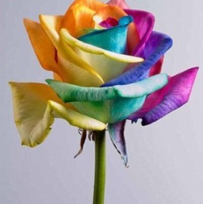 Rita Richard - Twitter Profile Picture of Rita Richard (@RichardRita1) on Twitter