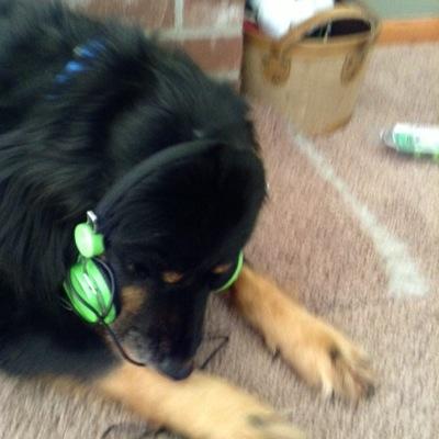 Joshua Andrew Poplin - Twitter Profile Picture of Joshua Andrew Poplin (@joshua_poplin) on Twitter