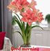 Profile Picture of Img Aus (@naj.memon.5) on Facebook