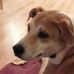 Profile Picture of Jane Whitaker (@jane.whitaker.167) on Facebook