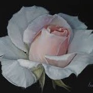 Profile Picture of Gladys Moore (@gladysm01230286) on Twitter