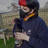 Profile Picture of Juniper Emma (@juniper-emma-1) on Quora