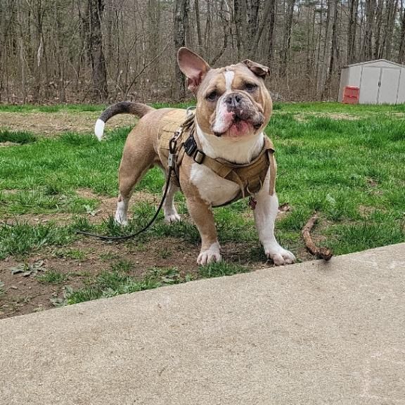 Profile Picture of Jacob (@jacob_eames70) on Tiktok