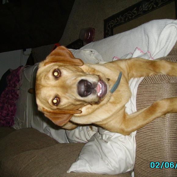 Pat Wendt - Poshmark Profile Picture of Pat Wendt (@pwendt1932) on Poshmark