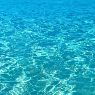 Profile Picture of Elizabeth Beisel (@ebeisel34) on Instagram