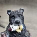 Profile Picture of Gary Morstad (@gary.morstad.2025) on Facebook