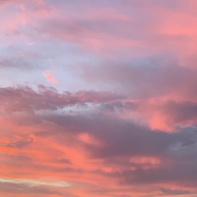 Profile Picture of Savannah (@Savannah_baca07) on Twitter