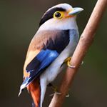 Rose Anne Salvatiera Lagla - Instagram Profile Picture of Rose Anne Salvatiera Lagla (@anne122218) on Instagram