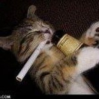 Profile Picture of Coreen Clark (@coreen-clark-3) on Quora