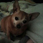 Profile Picture of robinritchey (@robinritchey) on Instagram