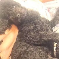 Profile Picture of Tyler Evanshen (@tyler-evanshen) on Quora