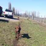 Profile Picture of Daniel Neira (@daniel.neira.56679) on Instagram