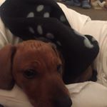 Profile Picture of Yvette Gordon (@yvettegordon6) on Instagram
