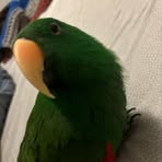 Profile Picture of Ethan Hickson (@Ethan-Hickson) on Facebook