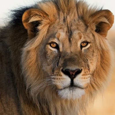 Profile Picture of Tom McKenny (@TheMckenny) on Twitter