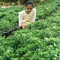 Profile Picture of Sandar Soe (@sandar-soe-2) on Quora