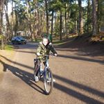 Profile Picture of Kim Wolkenfelt (@wolkenfeltkim) on Instagram