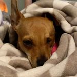 Profile Picture of Tyler Plate (@platetyler) on Instagram