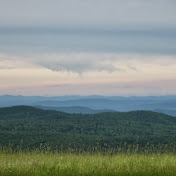 Profile Picture of Cassidy Hayes (@cassidyhayes8628) on Youtube