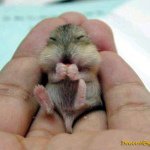 Profile Picture of Michelle (@tonguelicious) on Instagram