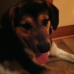 Profile Picture of Lance Mooney (@lancemooney0) on Instagram