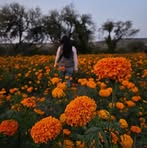 Profile Picture of Daniela Leonardo (@Daniela-Leonardo) on Facebook