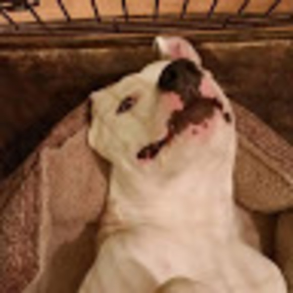 Jack Klages - Poshmark Profile Picture of Jack Klages (@jmklages) on Poshmark