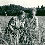 Profile Picture of aisha wagner (@wagneraisha1969) on Instagram