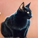 Profile Picture of Tracy Monteith (@tracy.monteith.311) on Facebook