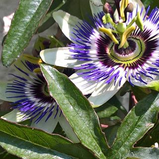 Profile Picture of Julie Marriott (@Julie-Marriott) on Facebook