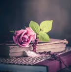 Profile Picture of Alya Rayed (@Alya-Rayed) on Facebook