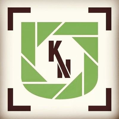 Profile Picture of Dennis Gates Jr. (@KnightNephrite) on Twitter