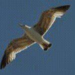 Profile Picture of Alessandro Mazzotta (@alessandro_mazzotta) on Instagram