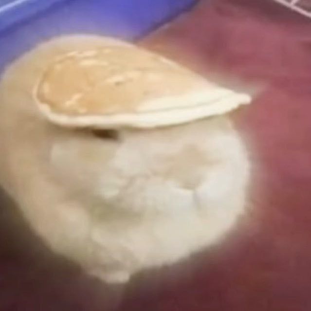 Profile Picture of Marc (@marc58609) on Tiktok