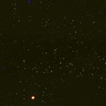 Alex Reichelt - Instagram Profile Picture of Alex Reichelt (@alex_reichelt_) on Instagram