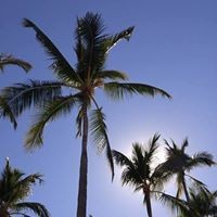 Profile Picture of Sandi Vincent Duval (@sandi-vincent-duval) on Quora