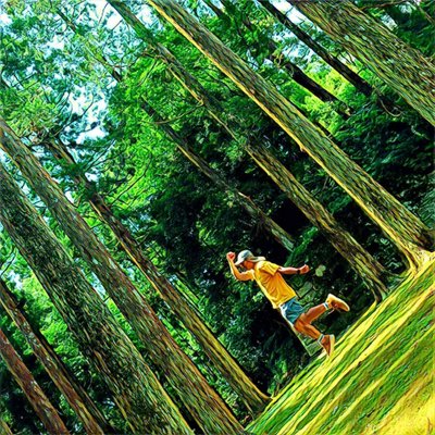 Profile Picture of Sam Wong (@samcswong) on Twitter