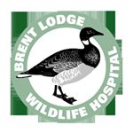 Profile Picture of Brent Lodge Wildlife Hospital (@brentlodgewildlife) on Instagram