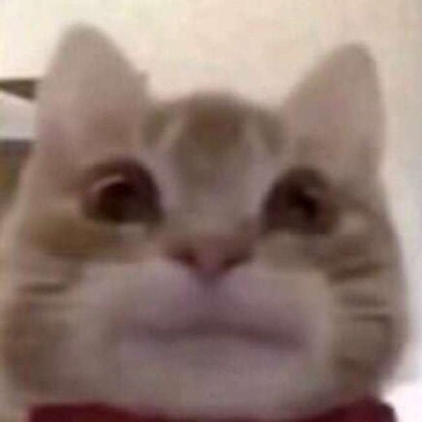 Profile Picture of Dr. Sierra Harris (@eloise_reynolds18) on Tiktok
