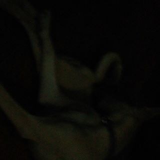 Profile Picture of Jimmy Seda (@jimmy.seda.3) on Facebook